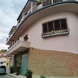 Lille France , Shkodër Albanie